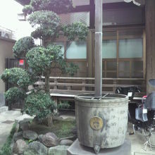 本堂の左には、鉢と松の植栽が置かれています。松は、きれいです