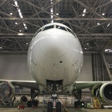 大迫力のB777。。 見ているだけでご飯が進むわあ。。。。。