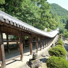 龍が地を這うように見える