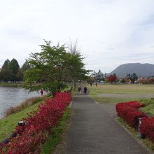 公園