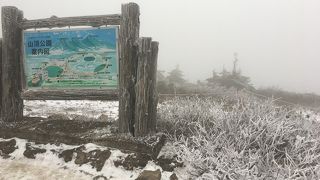 秋と冬のコントラスト