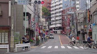 散歩が快適です