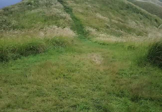 星降る高原・塩塚高原