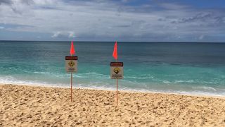 オフシーズンでもいいね