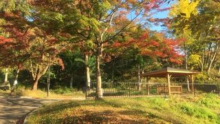紅葉の時期がおすすめ！