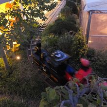 ミニSLも走ってました。有料です。