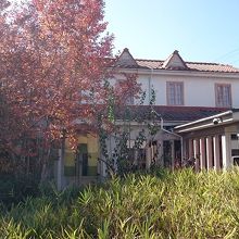 カフェのようなお店です。