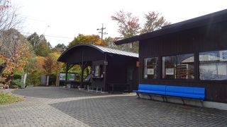 季節によって様々な植物が