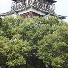 広島城①