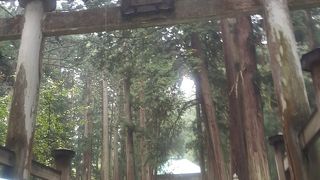 来年（２０１７年）で開祖１３００年だそうです