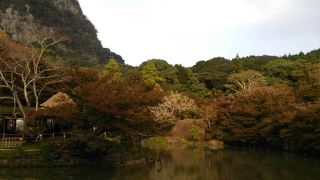 紅葉はまだでした。