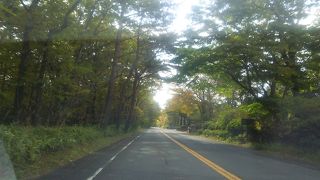 さわやかなドライブ道