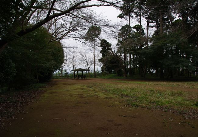 成東の城