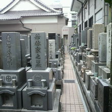 林光寺の境内に連接している林光寺の整然とした墓地の様子です。