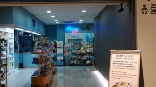 東京タワーの水族館