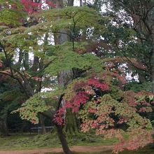 コントラストが素敵でした