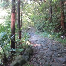 箱根山中の旧東海道石畳