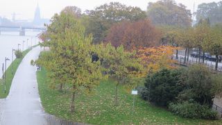 マイン川岸にある遊歩道