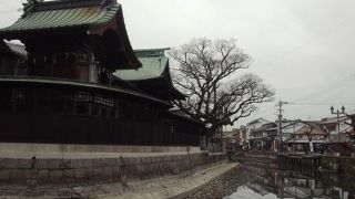 川下り、2月中旬頃は沖端まで行きませんのでご注意を