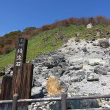 一番奥の斜面。