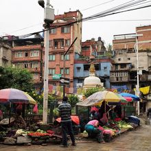 タヒティチョーク