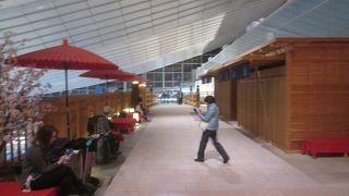 当時の日本橋の約半分のスケール