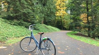 動物園やバラ園もある広大で静かな公園