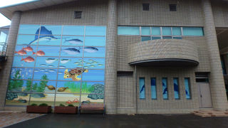 入館無料です！