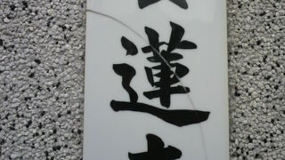 浄土真宗本願寺派の養蓮寺は、開祖恵伯が三河から江戸に出府し、正保年間に創建したそうです。