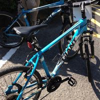 レンタル自転車はGIANT製です