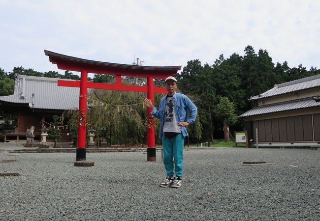 しだれ桜が有名な神社