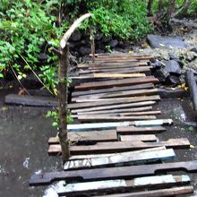 こんなところを歩いて遺跡に向かいます（ブレすみません