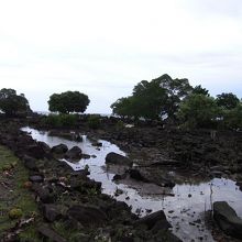 たくさんの石たち。かつては何かの建造物だったはず