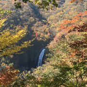 紅葉と滝