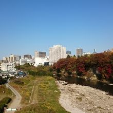 広瀬通りから広瀬川