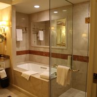 シャワーが固定式でした