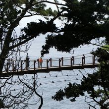 駐車場に戻ってきました。