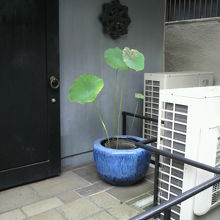 仏教にはつきものの蓮と長龍寺の紋章が見えます。西側にあります