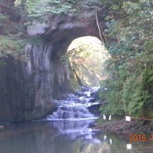 全体が青みがかって美しいです。