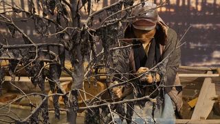 ちょこちょこ地元ならではの展示がある博物館です