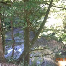 川の水が青いのです。