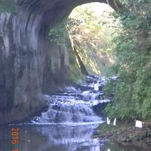 撮る場所でイメージが少し変わります。