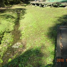 蛍もいるそうです。