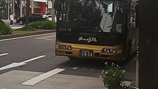観光路線のバス