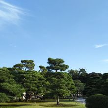 美しく整えられてます