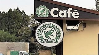 レインフォレストカフェ 霧島サービスエリア上り店