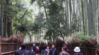 観光客が多くいる