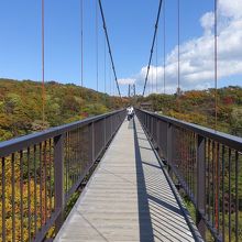 ある程度人がいると揺れますよ。