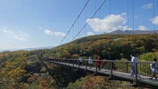 頑丈な造りですが結構揺れました