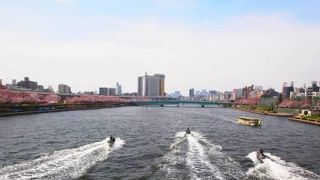 春の眺めは値千金